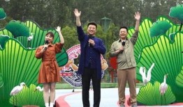 阿巴巴最新爆料视频下载,行业变革背后的秘密