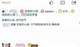 南宁张小姐爆料案件最新,揭开惊人真相，正义终将到来！”