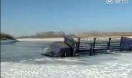 榆树最新爆料,揭秘背后惊人真相