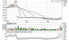 杉杉股份爆料最新消息,揭秘公司重大战略布局与未来发展动向