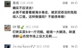 最新爆料集锦视频下载安装,视频下载安装全攻略